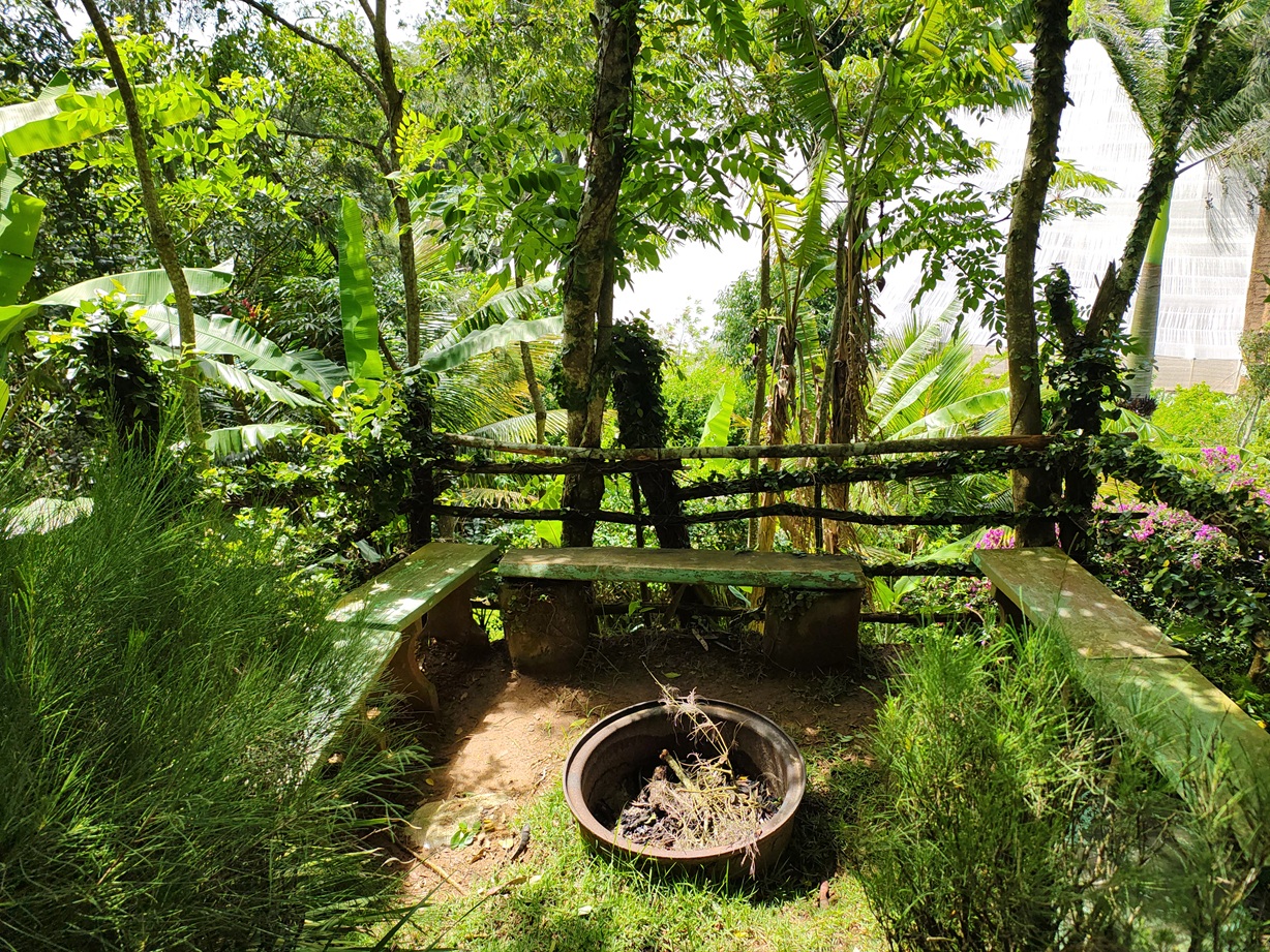 Vista da Serra de Mulungu 3